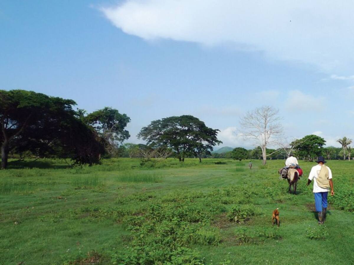 Denuncian incumplimiento en aplicación de ley de víctimas