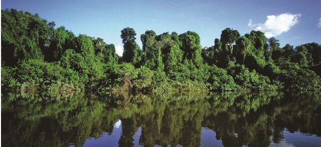 Colombia implementa el ecoturismo en los Parques Nacionales Naturales/ Foto cortesía: Parques Nacionales Naturales de Colombia