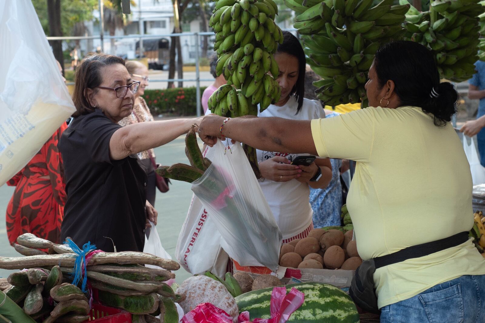 Universidad de Cartagena