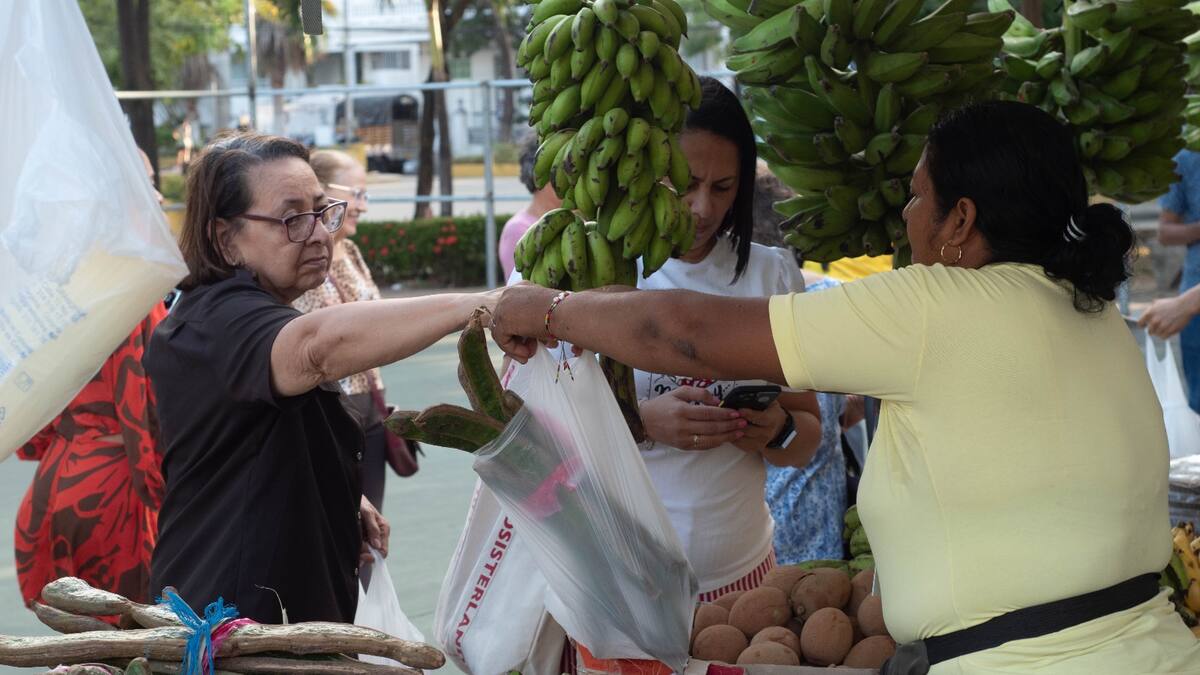 Unicartagena y Armada firmaron alianza para fortalecer a campesinos de Bolívar