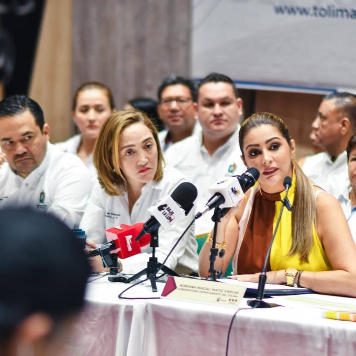 “Trabajaré tres veces más de lo que venía trabajando”: Adriana Matiz