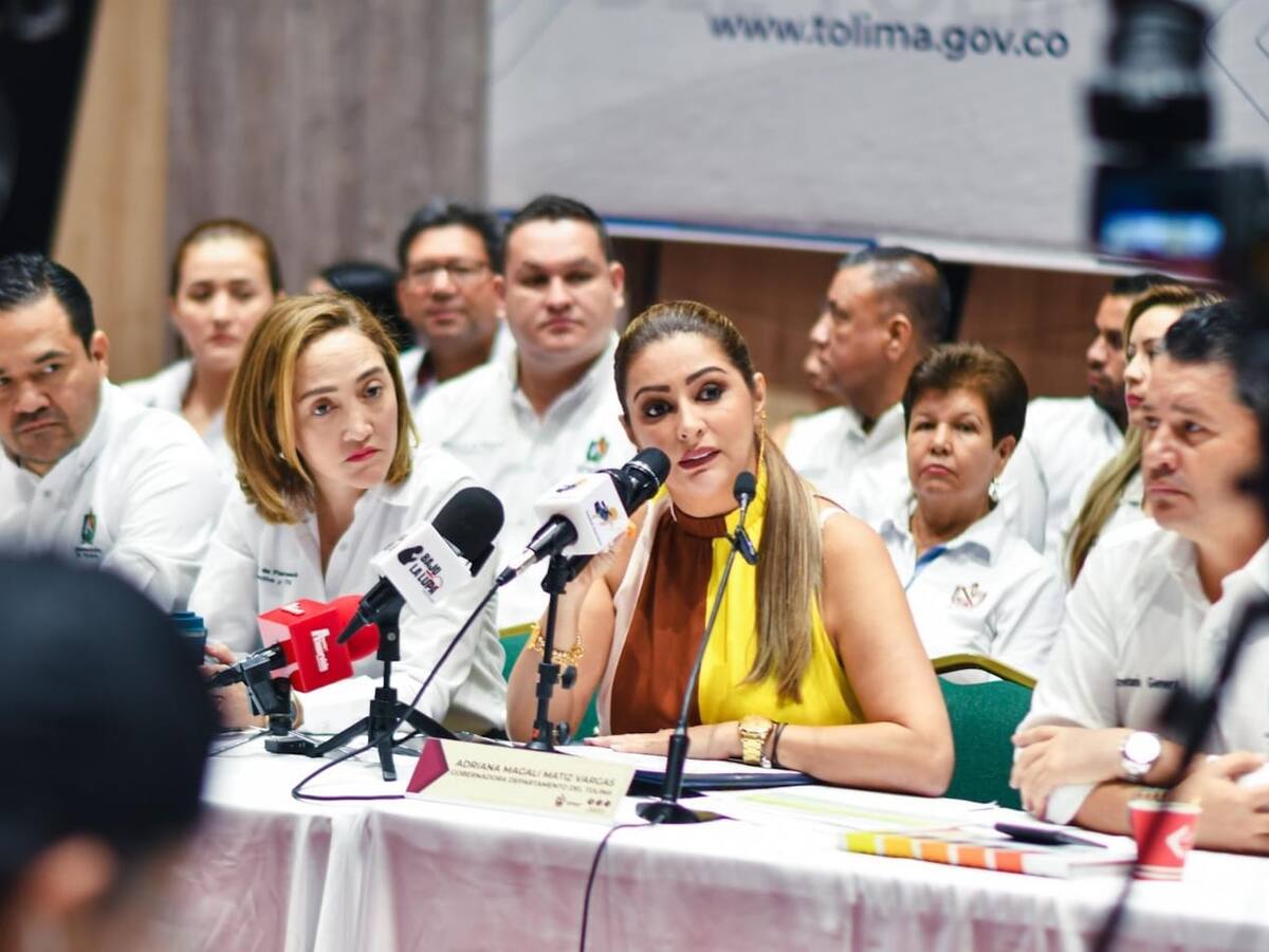 “Trabajaré tres veces más de lo que venía trabajando”: Adriana Matiz