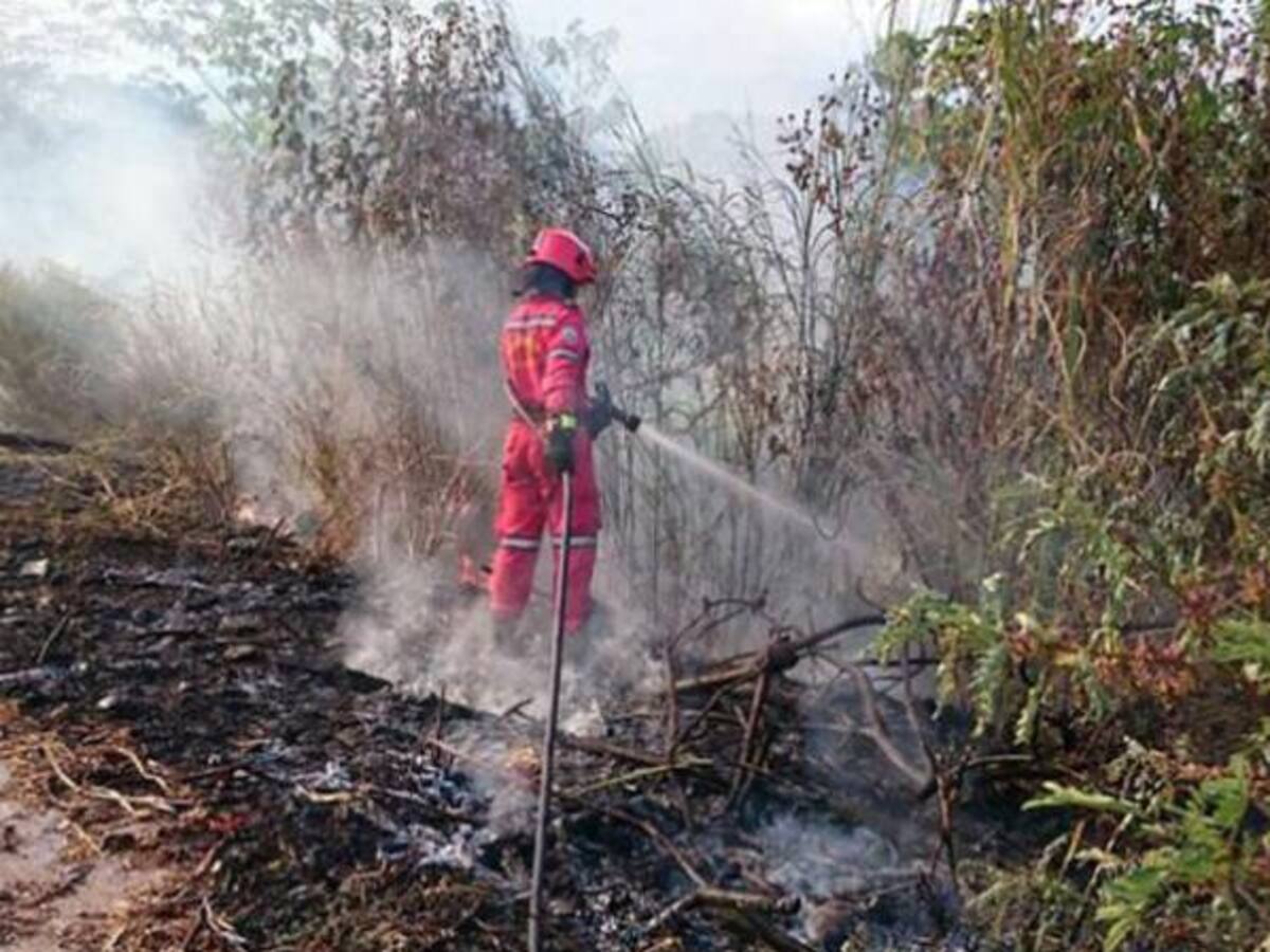 Incendio en Gachancipá y Guatavita está controlado en un 80 por ciento