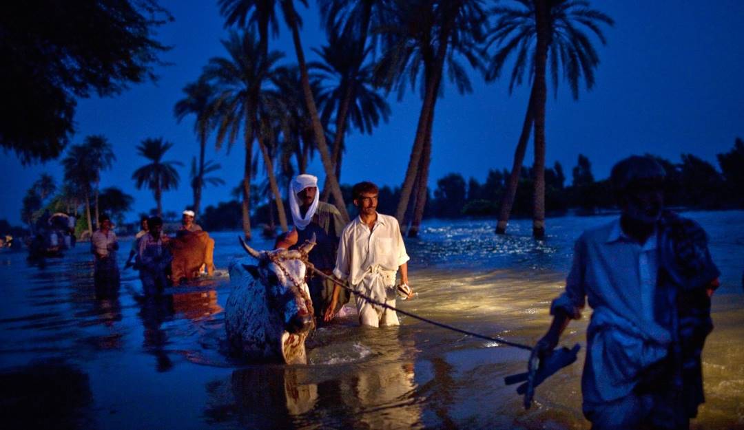 Campesinos pakistaníes desplazados por inundaciones.       Foto: Getty 