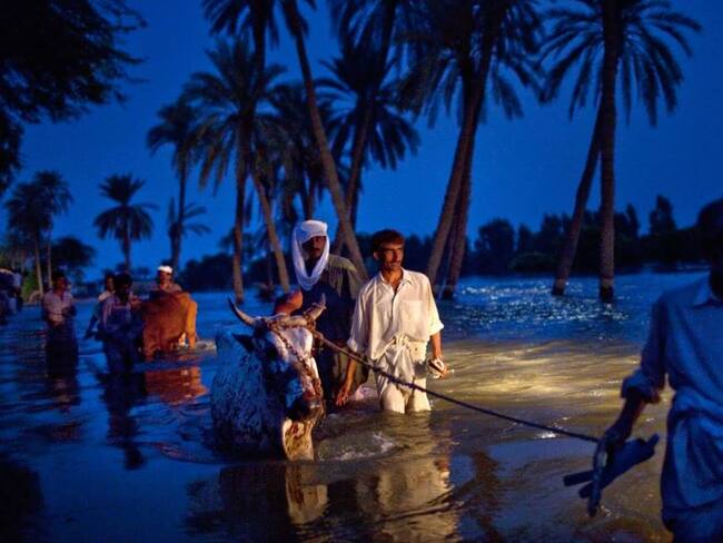 Campesinos pakistaníes desplazados por inundaciones. Foto: Getty