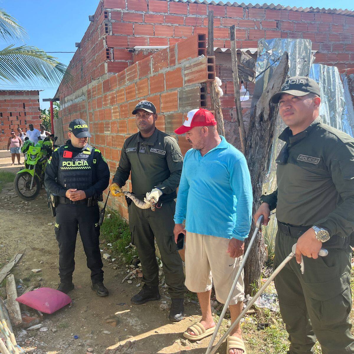 Policía Nacional rescata una boa constrictor, que buscó refugio en una vivienda de la Boquilla