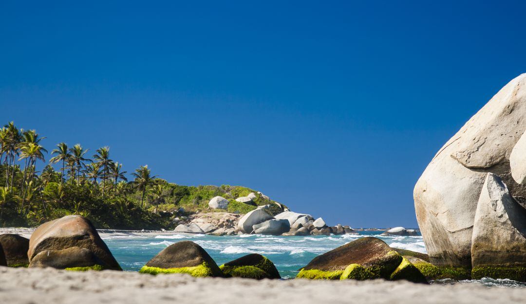 45 empresarios de 22 paises en los viajes de familiarización previo al Colombia Nature Travel Mart. 