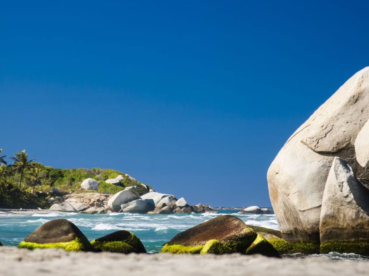 En Colombia Nature Travel Mart empresarios internacionales recorren el país