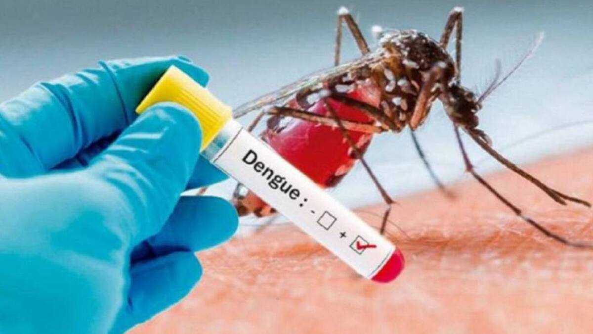 Autoridades de Risaralda advierten un posible brote de dengue en el 2022