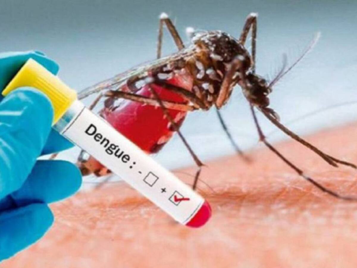 Autoridades de Risaralda advierten un posible brote de dengue en el 2022