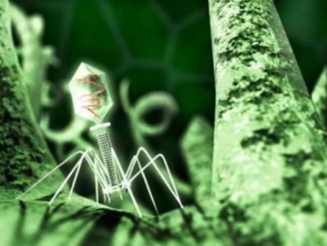 Nuevo dispositivo para controlar el cáncer es creado en Univalle