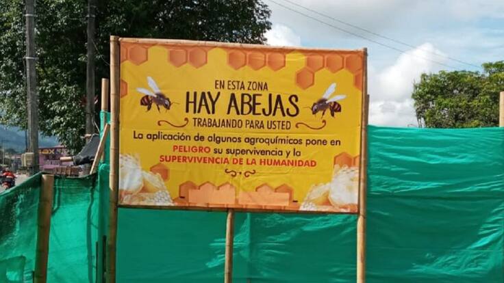 Presidente de Asoproabejas, Faber Sabogal