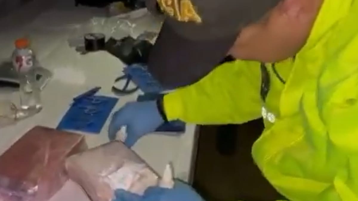 Colombia y Ecuador incautaron 900 kilos de droga en zona de frontera