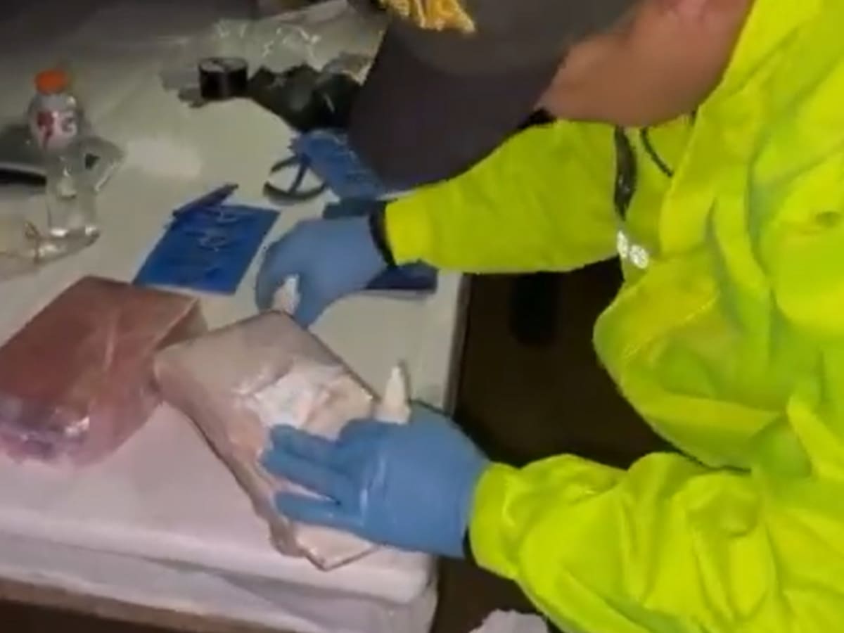Colombia y Ecuador incautaron 900 kilos de droga en zona de frontera