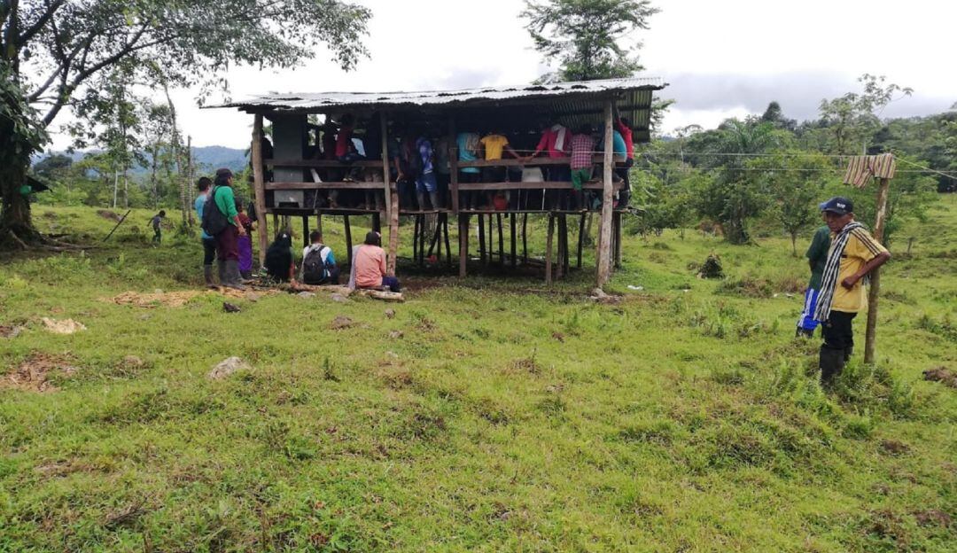 Organización Indígena de Antioquia, denuncia que miembros del ELN serían los responsables de instalar minas antipersonal es territorios indígenas