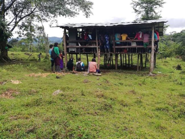 Organización Indígena de Antioquia, denuncia que miembros del ELN serían los responsables de instalar minas antipersonal es territorios indígenas
