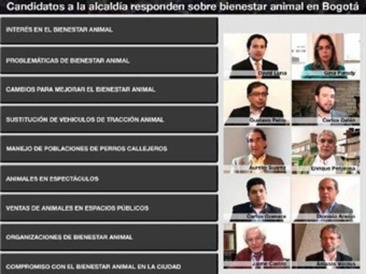 Los candidatos a la Alcaldía de Bogotá hablan sobre los animales