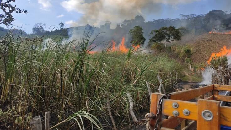 Incendio consumió 10 hectáreas de un cultivo de caña de azúcar