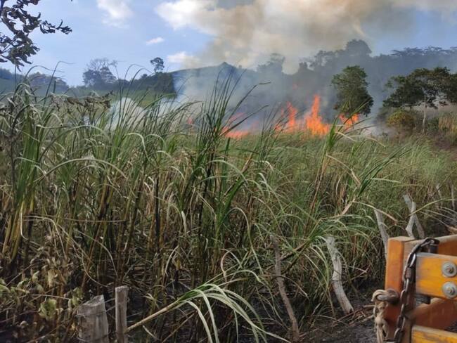 Incendio consumió 10 hectáreas de un cultivo de caña de azúcar