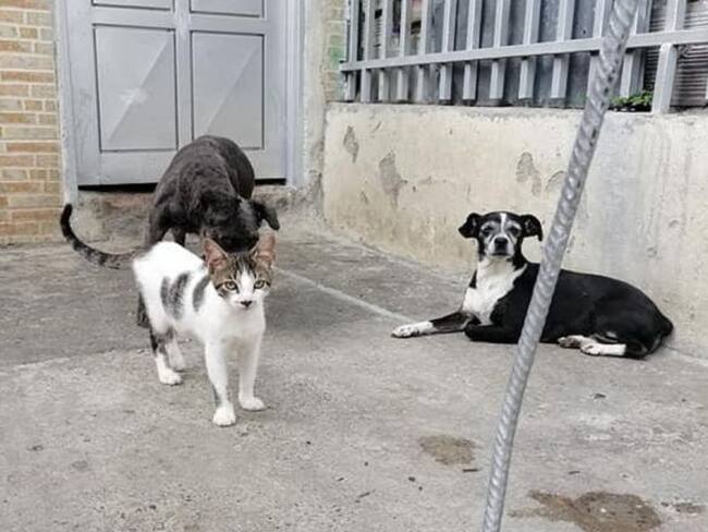 Imagen de referencia. Foto: Archivo.