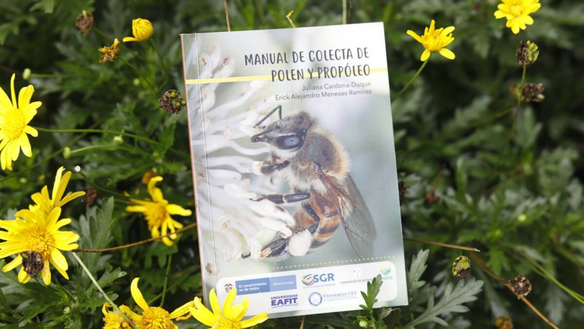 Así es el manual sobre recolección de polen y propóleos