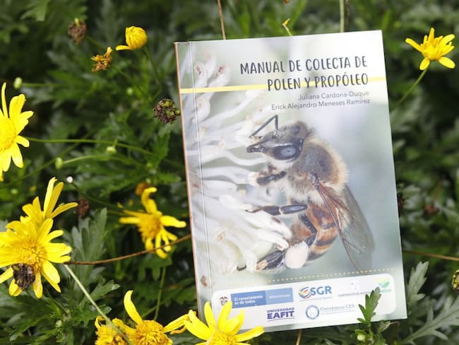 Así es el manual sobre recolección de polen y propóleos