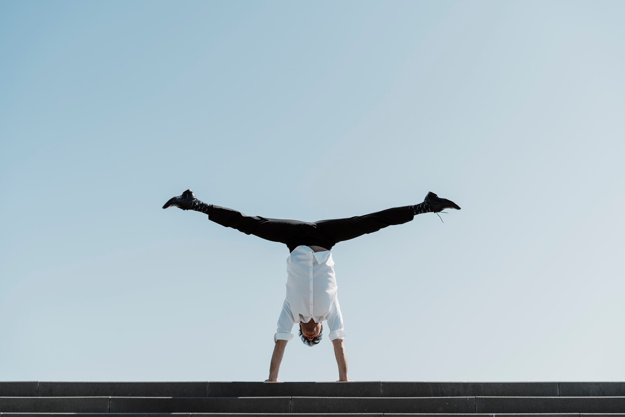 Imagen de referencia.