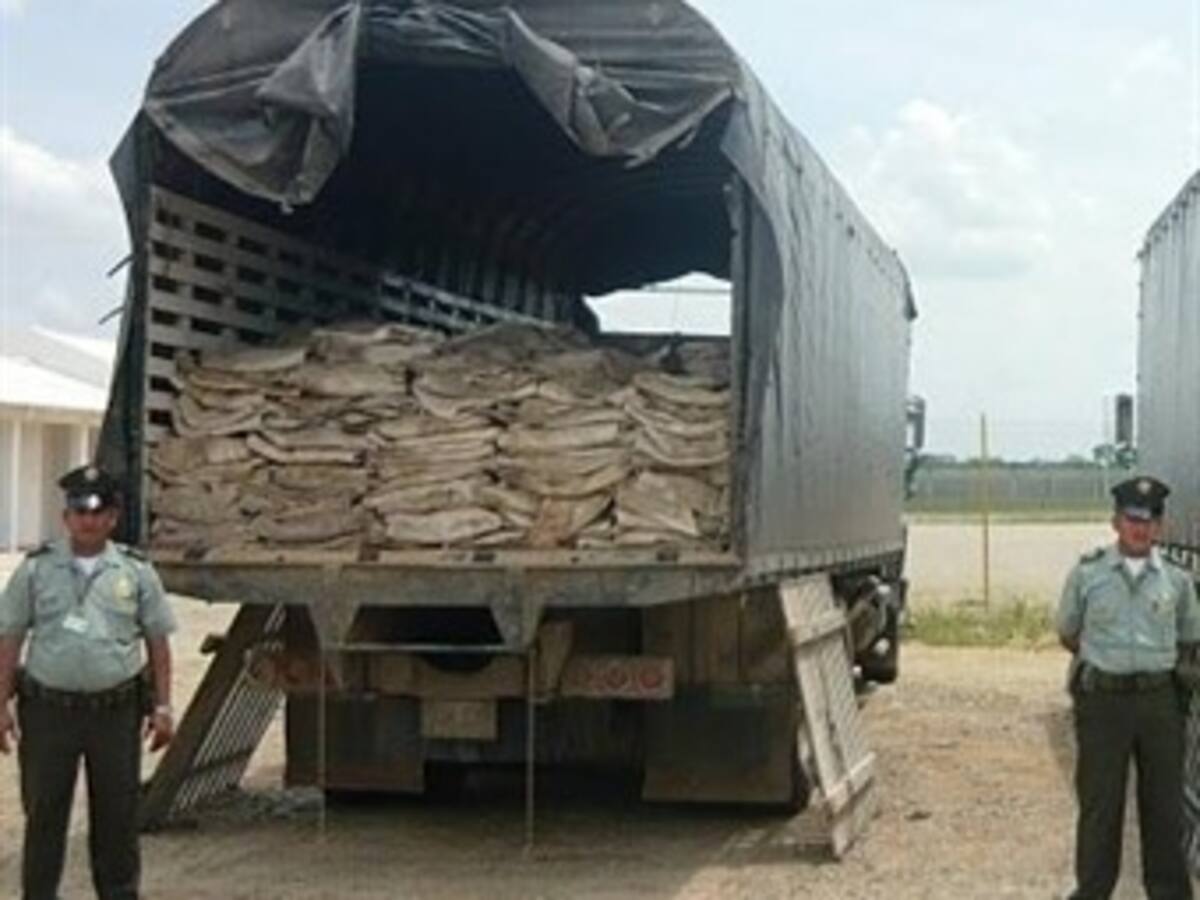 La Policía decomisa millonario cargamento de pieles de reses en la Guajira