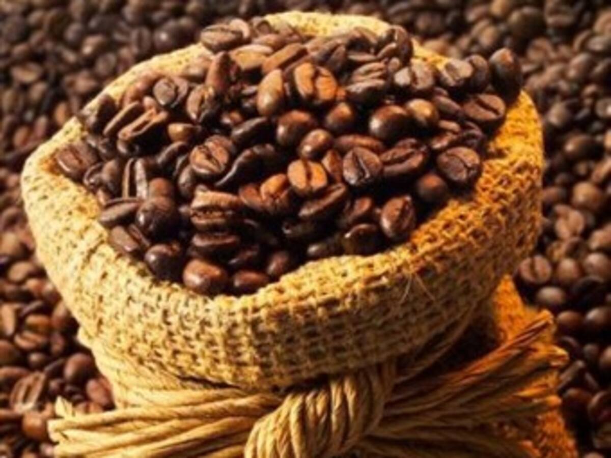 Crece producción y exportación de café en septiembre