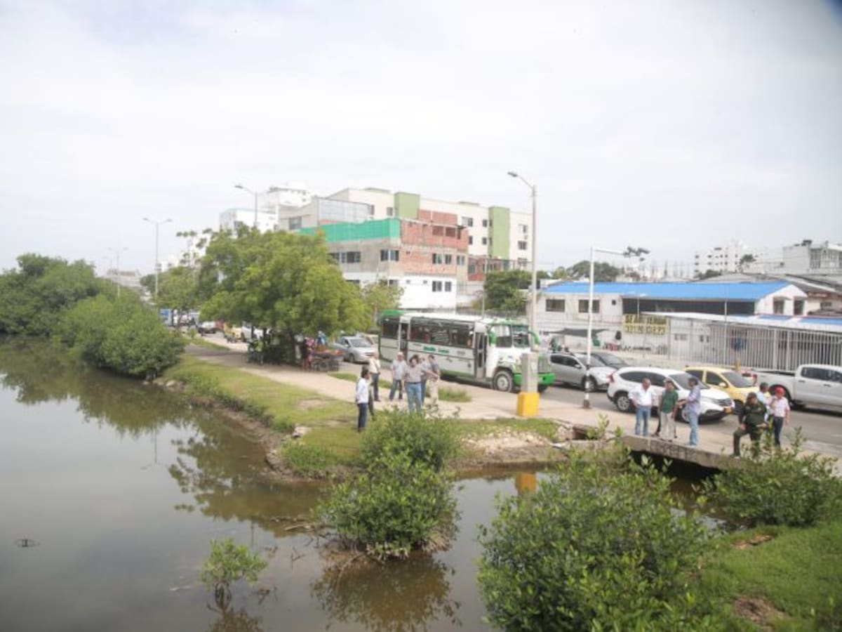 Realizan gran jornada de limpieza en Avenida del Lago en Cartagena