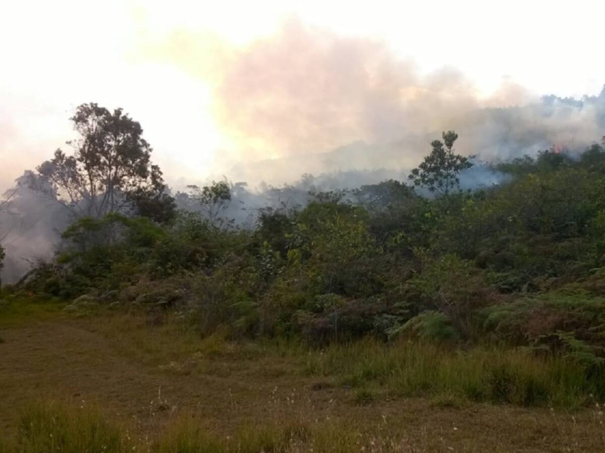 Autoridades ambientales aumentan operativos por quemas no controladas