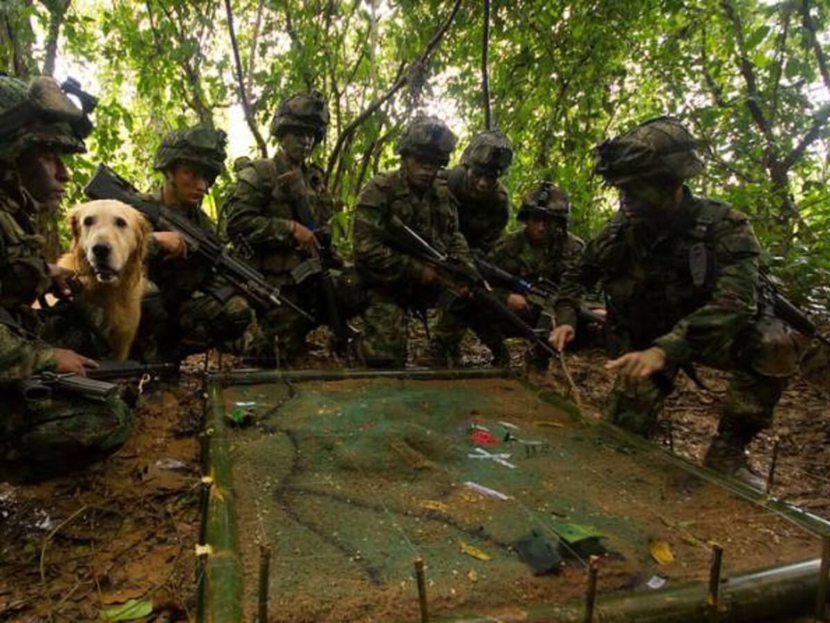 Las 20 vías que adecuará el Ejército en las zonas donde se concentrará las Farc