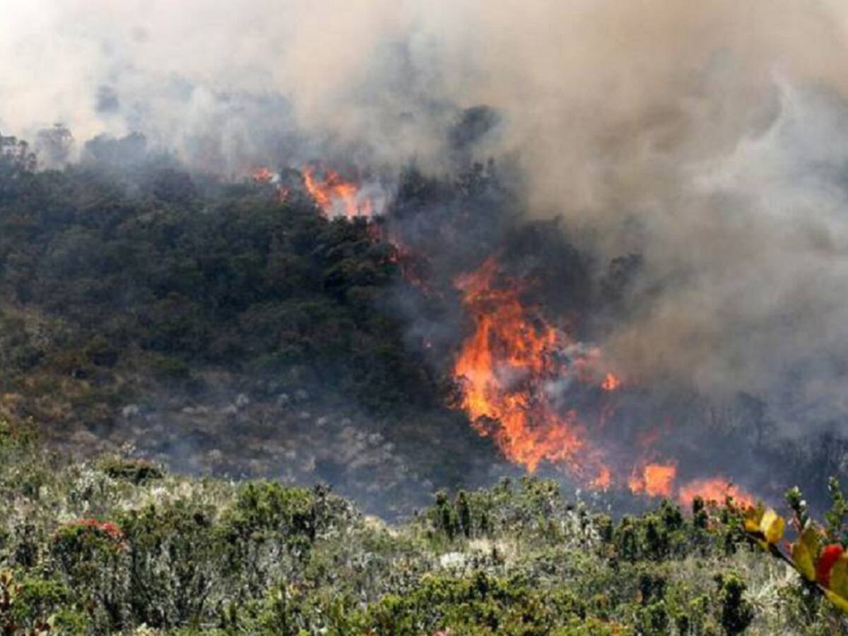 Fuerte incendio en la Playa de Belén en Norte de Santander