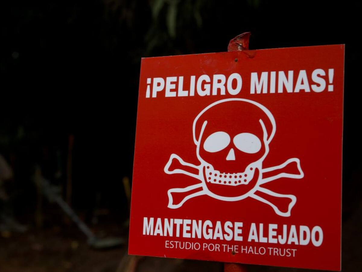 Testimonios de niños de Nariño en serie de Discovery