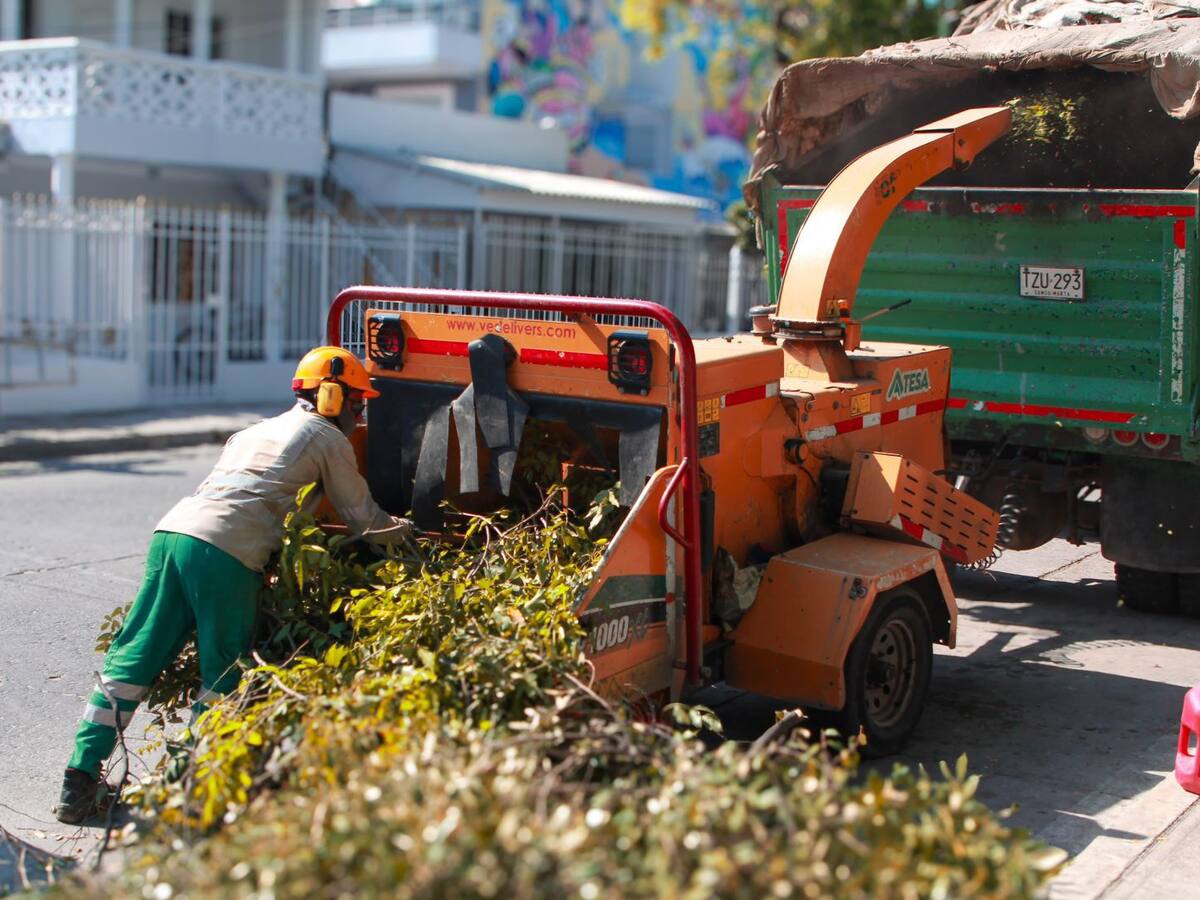 Atesa participó activamente en primera jornada “Juntos por el Parque”