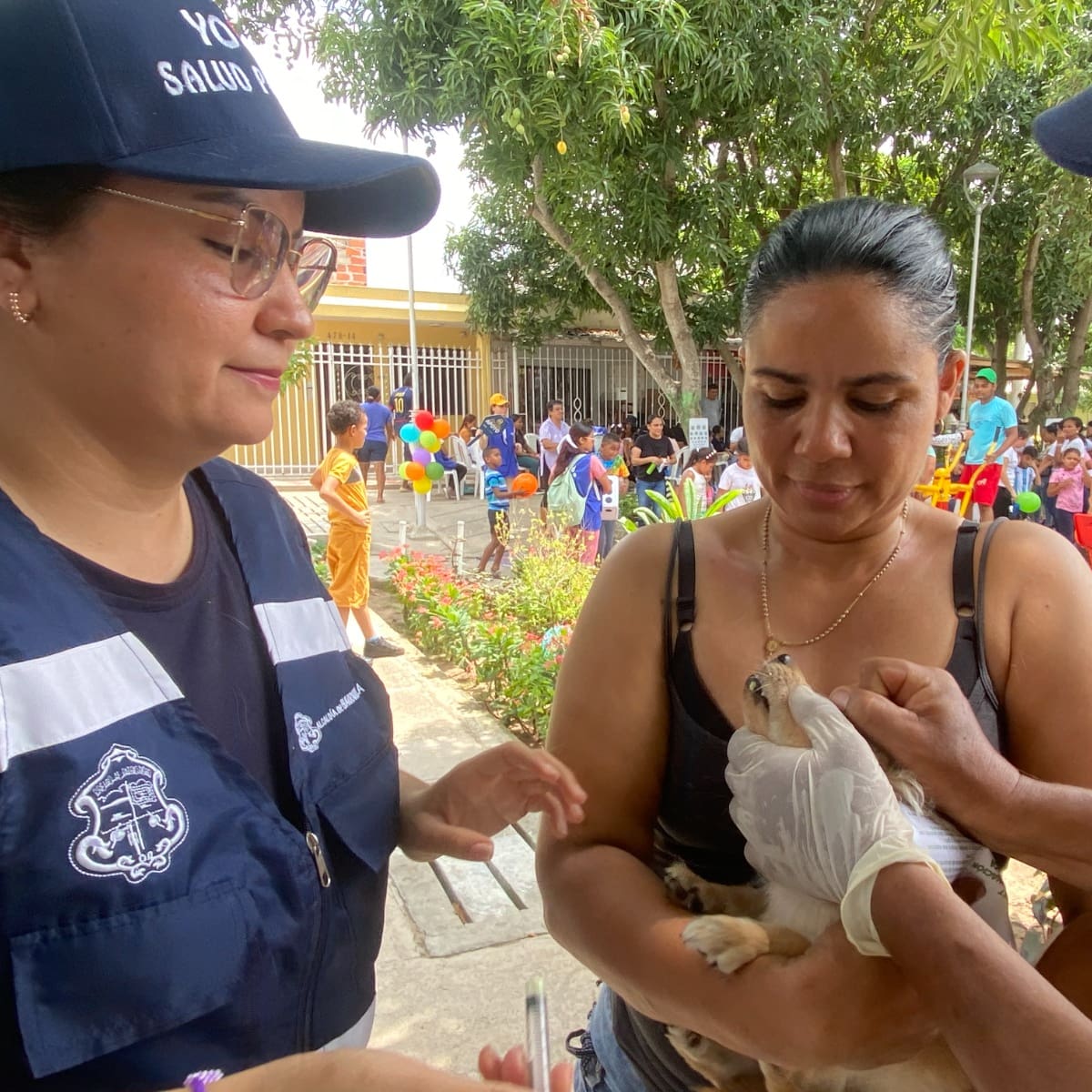 Barranquilla realizará jornada gratuita de vacunación antirrábica para mascotas