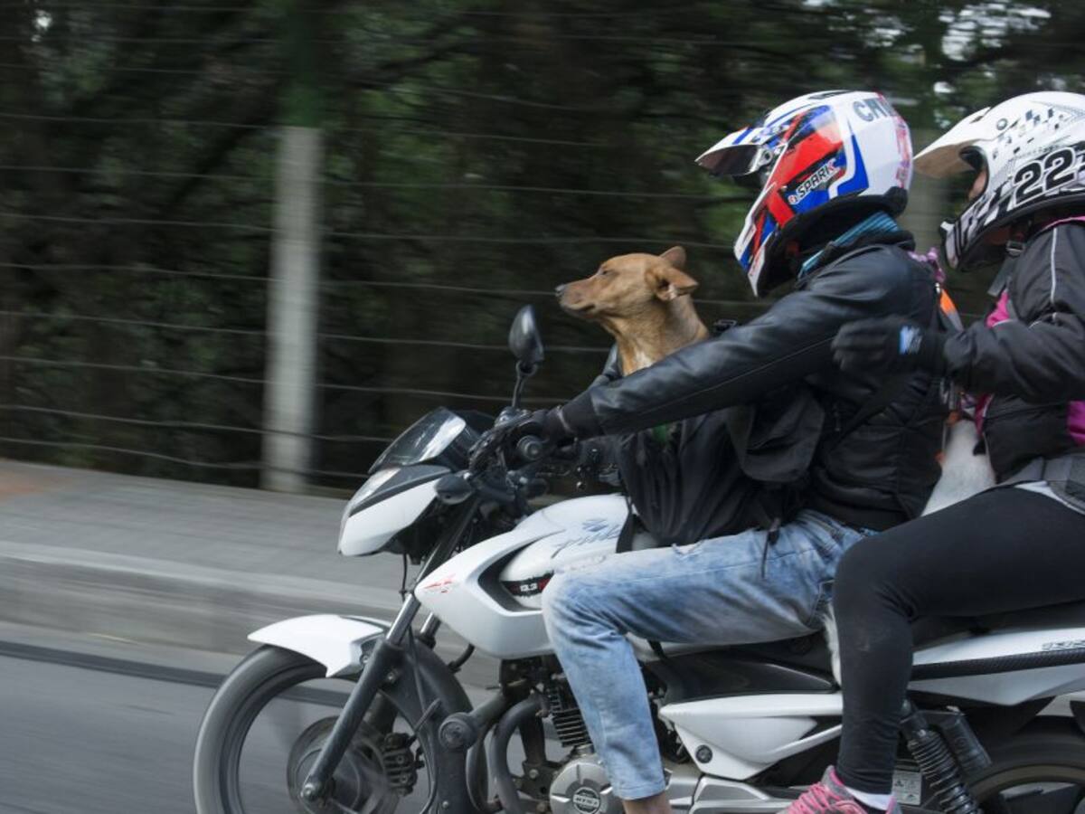 Picap a punto de la liquidación