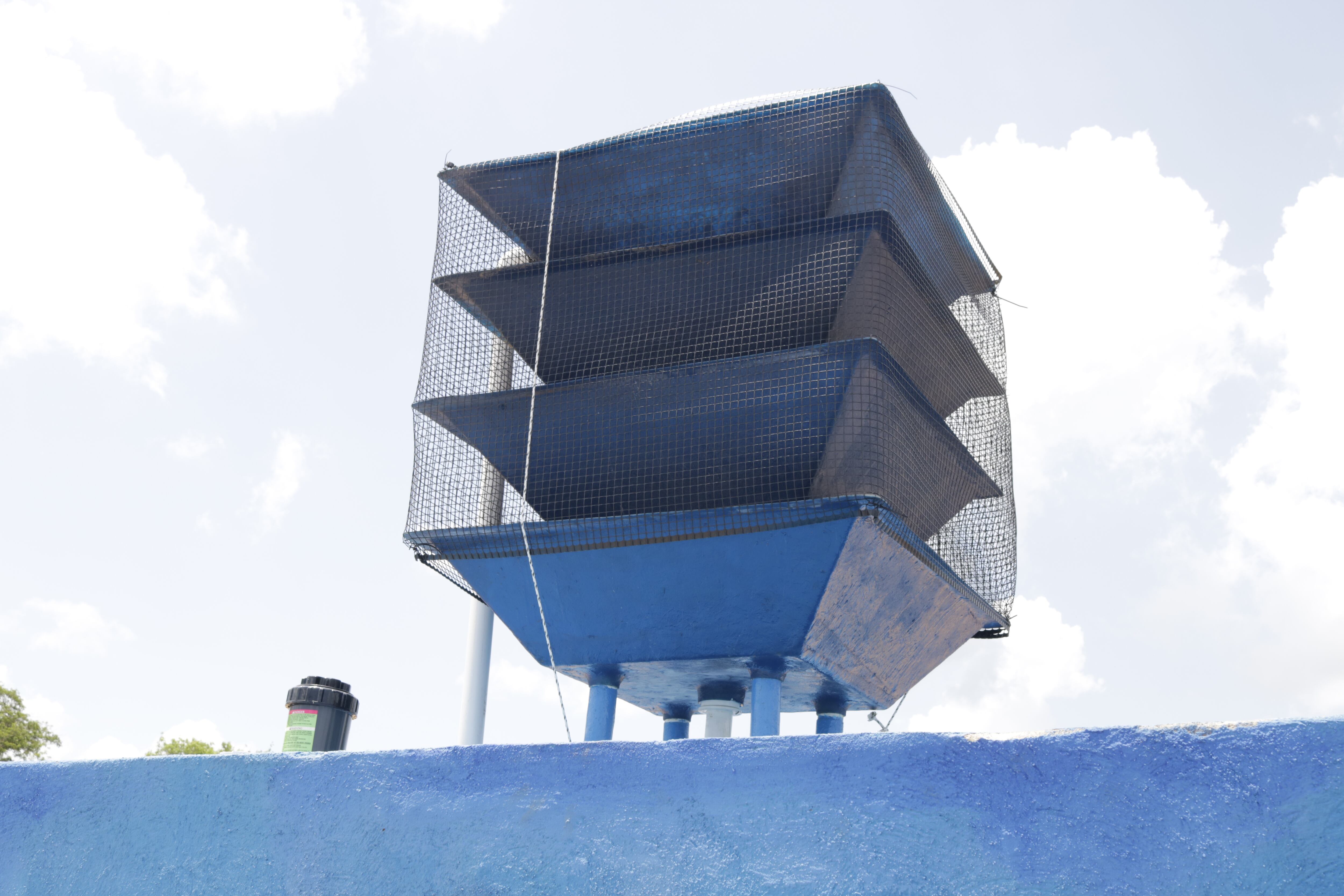 Cortesía : Coca Cola