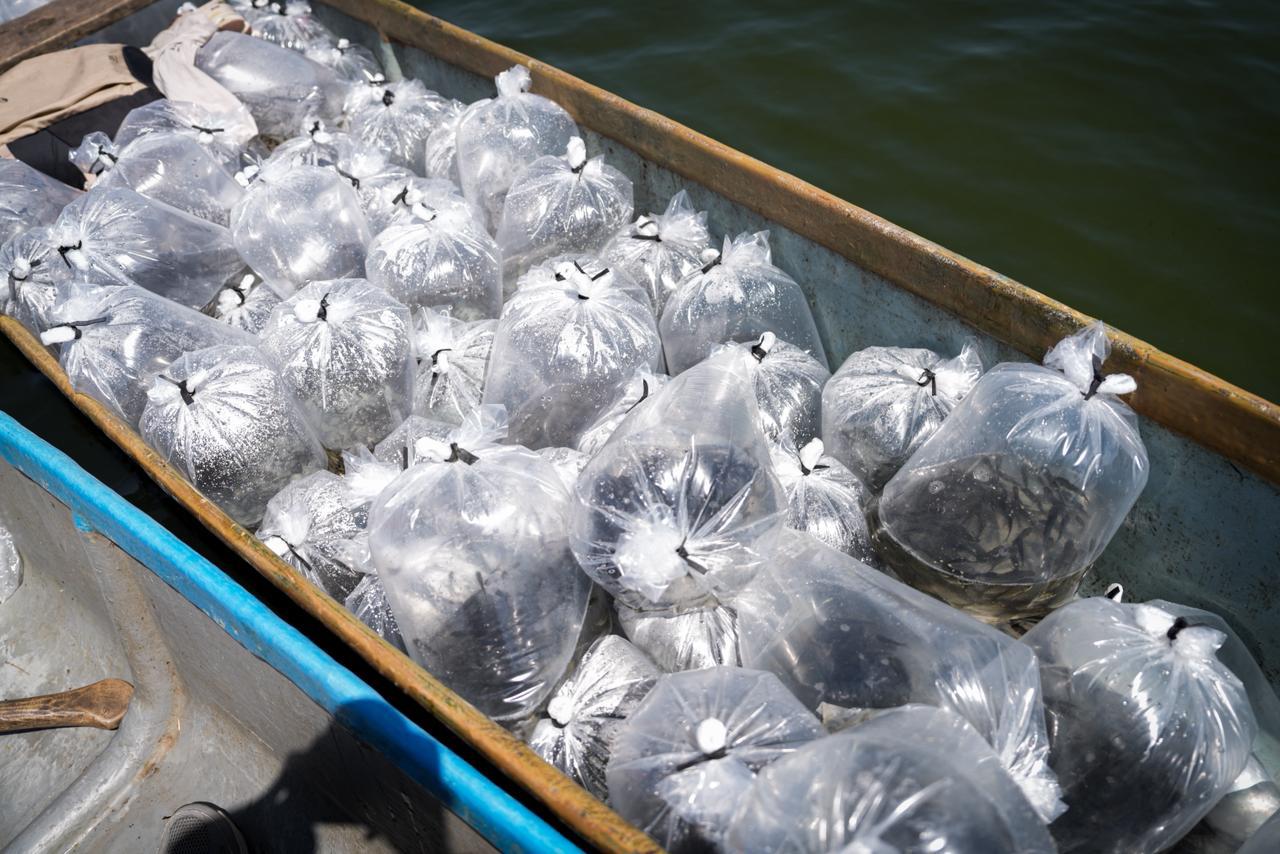 Foto: Gobernación de Bolívar.