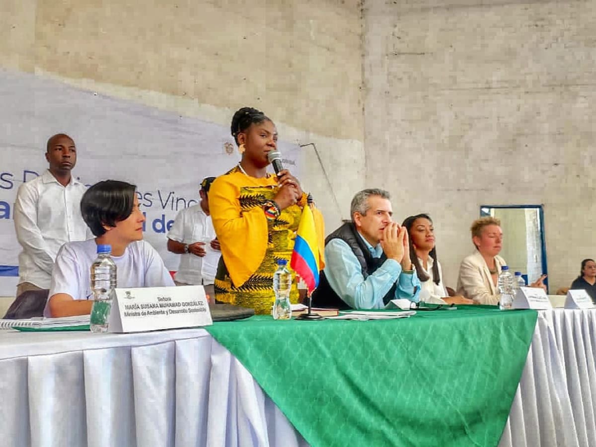 No puedo pasar viajando al exterior, tengo que ir a los territorios: vicepresidenta