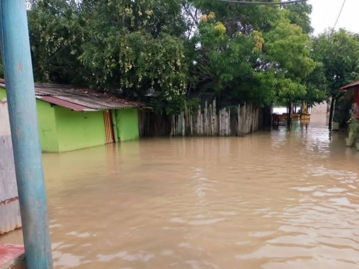 Cáceres y Caucasia tienen cerca de 600 familias afectadas por inundaciones