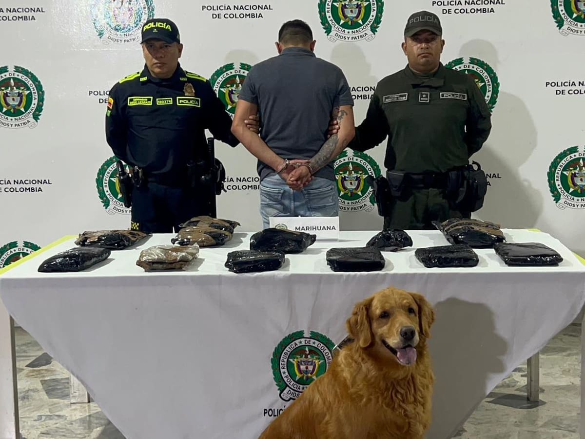 Capturan a una persona con 8 kilos de marihuana en la Terminal de Transportes de Ibagué