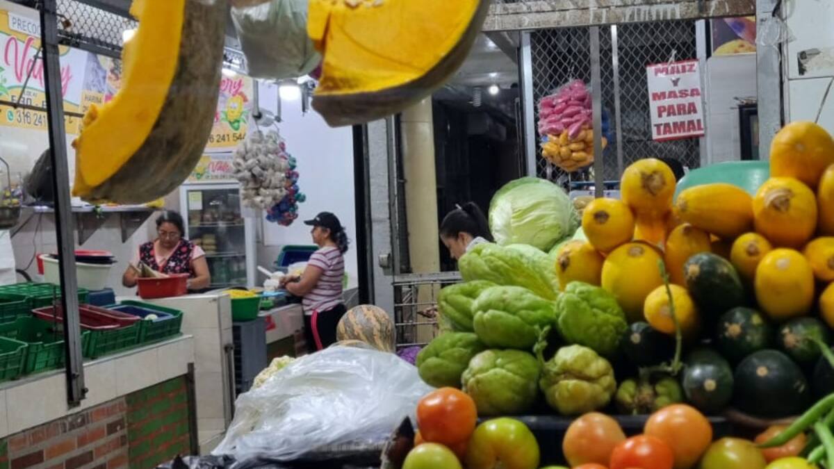 Precio de los productos de la canasta familiar en Bucaramanga: ¿qué está caro?