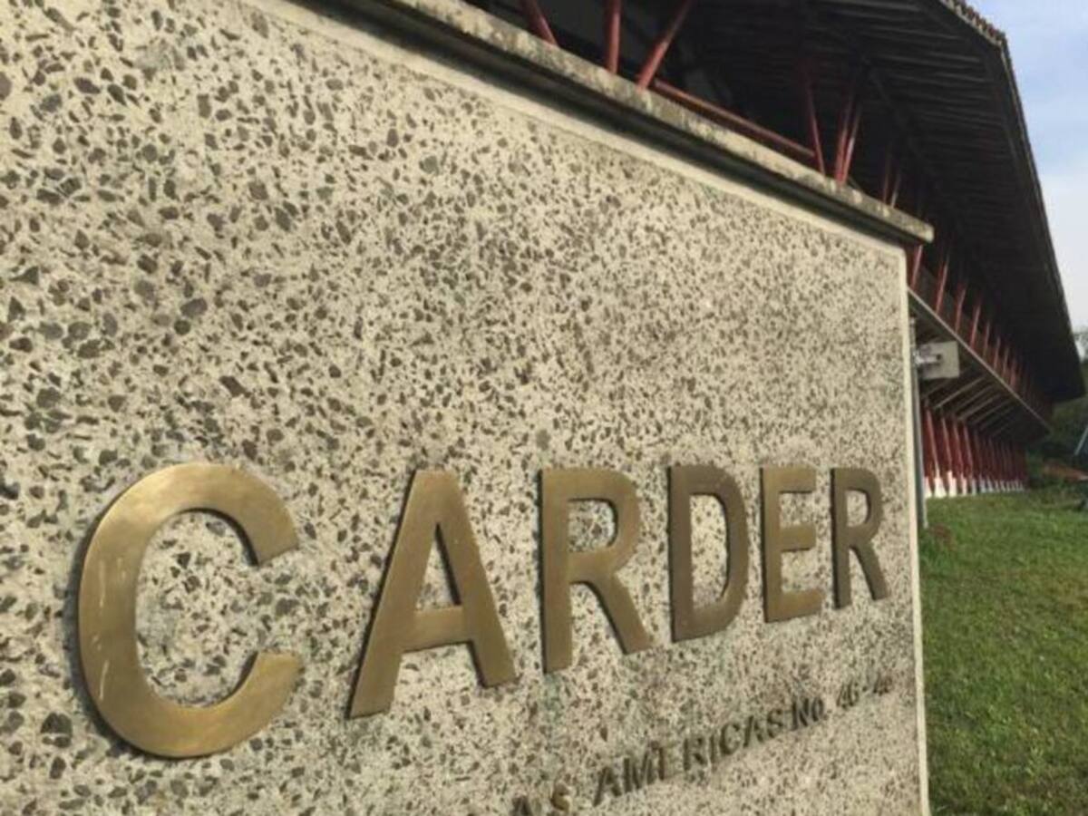 Procuraduría abrió investigación a la exdirectora encargada de la Carder