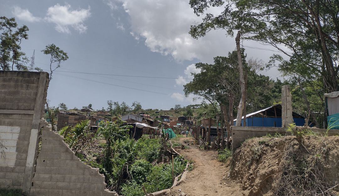 Así lo dio a conocer la directora del Plan de Emergencia Social (PES), Cielo Blanco, ante el Concejo Distrital