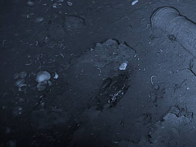 Linsey Jhon Swann, el capitán mercante inglés que descubrió el Galeón San José