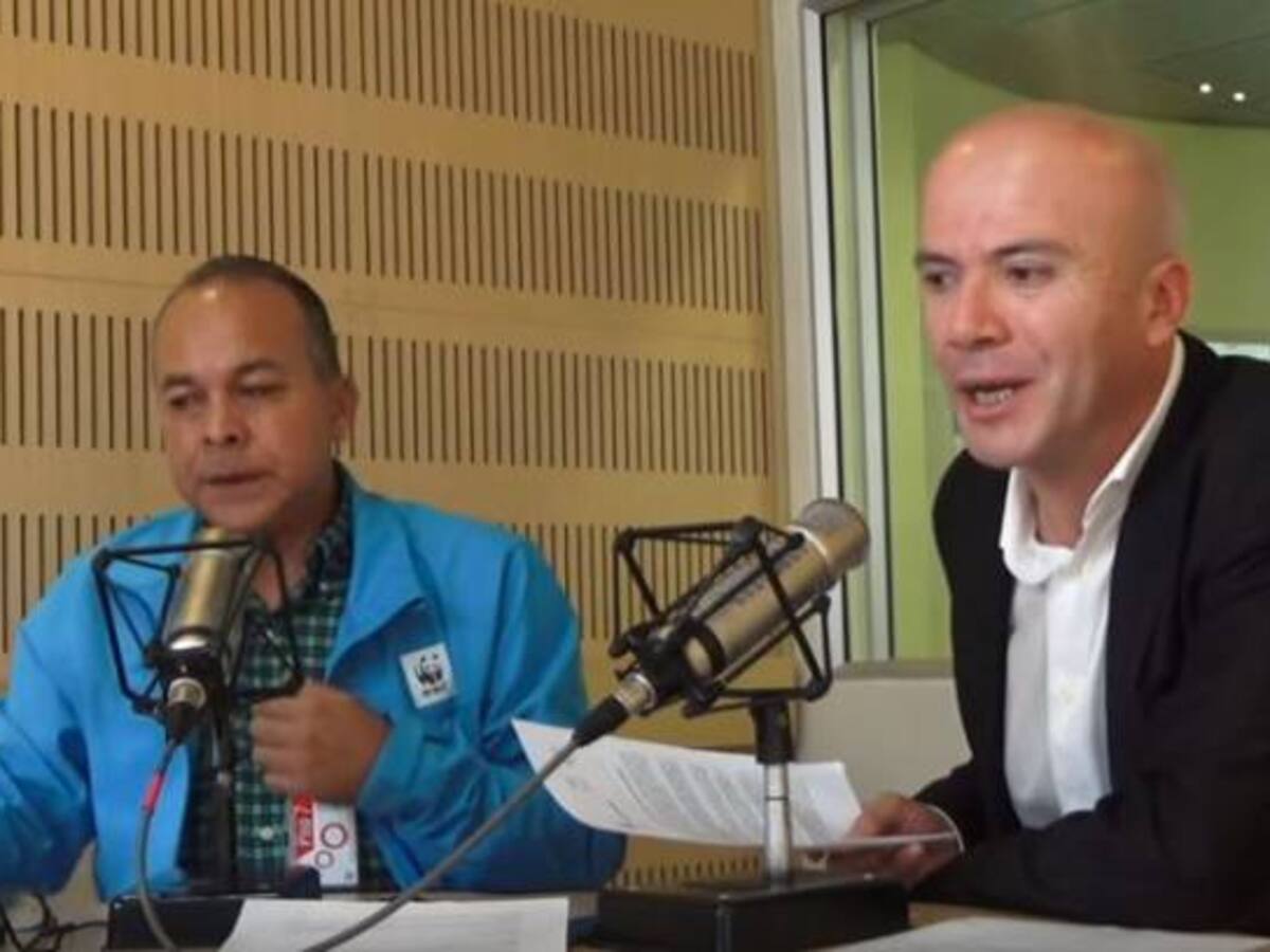 Pandas, elefantes, osos polares, orangutanes y tortugas marinas, amenazados por el cambio climático