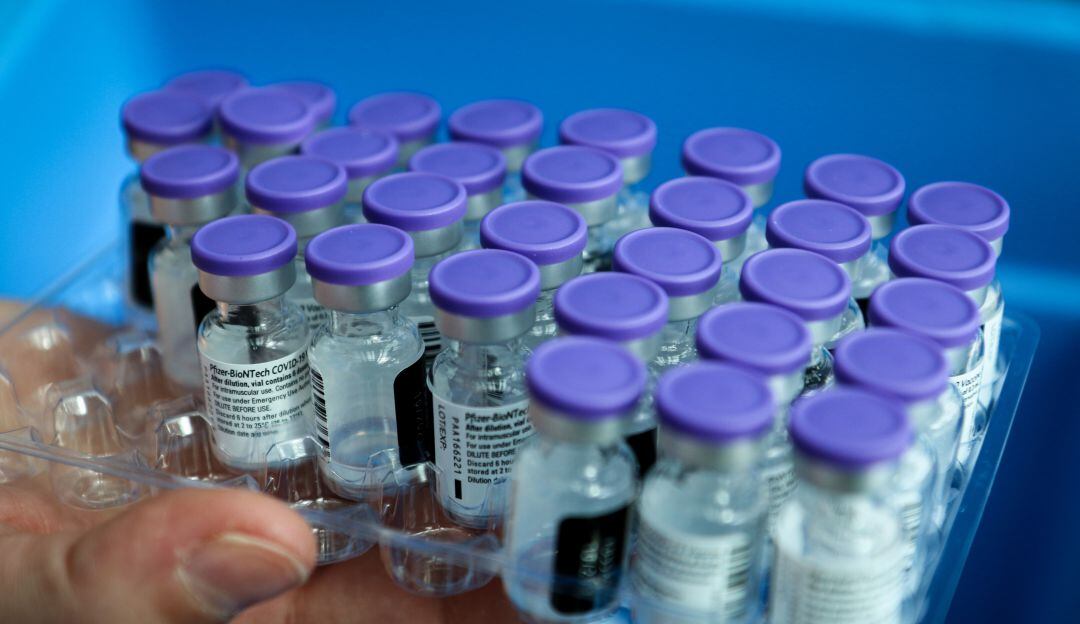 Imagen de referencia 