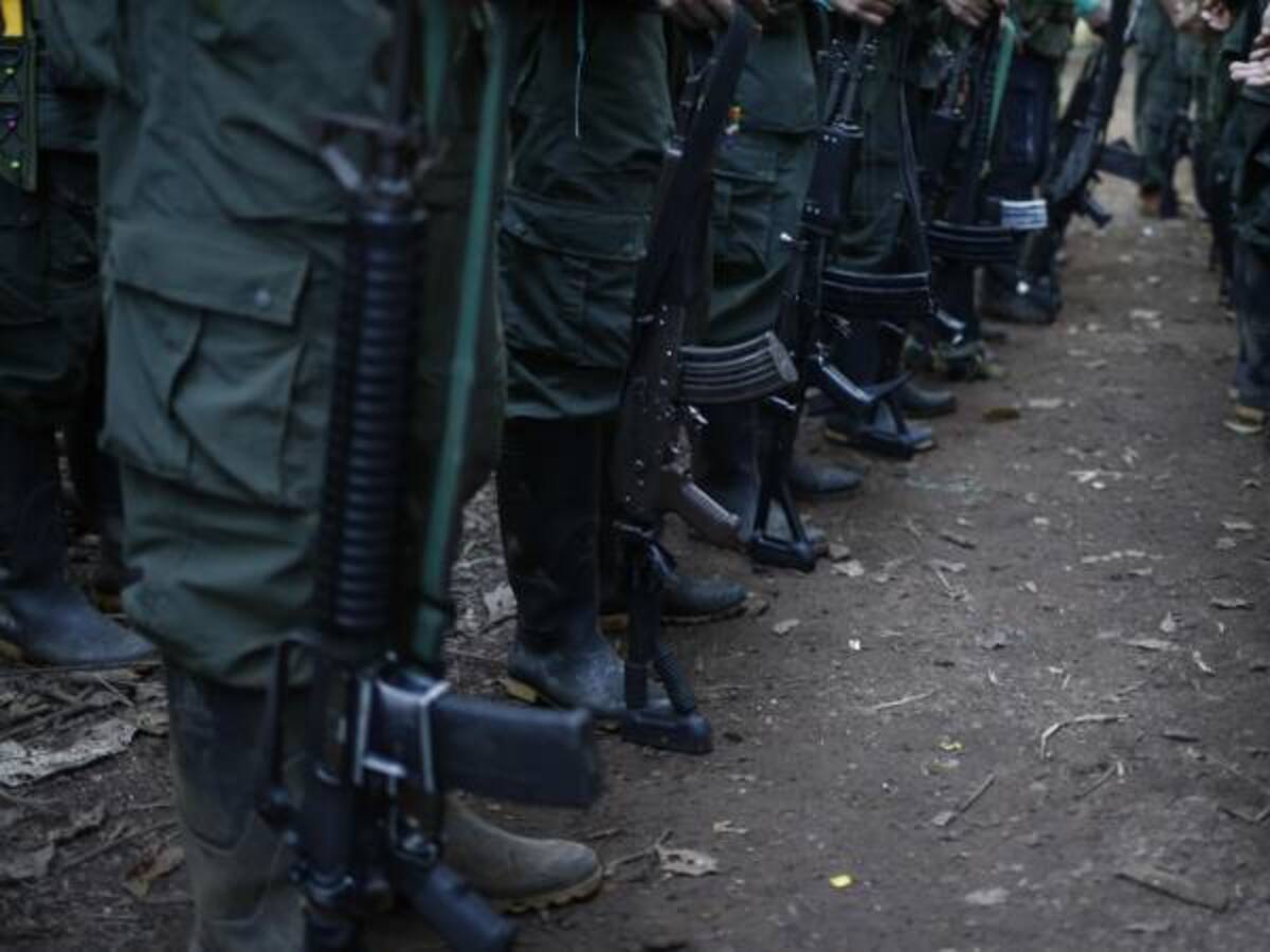 SENA se prepara para ofrecer educación a los excombatientes de las Farc