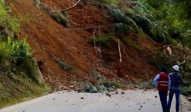 Salento, Calarcá, Córdoba, Buenavista, Pijao y Génova